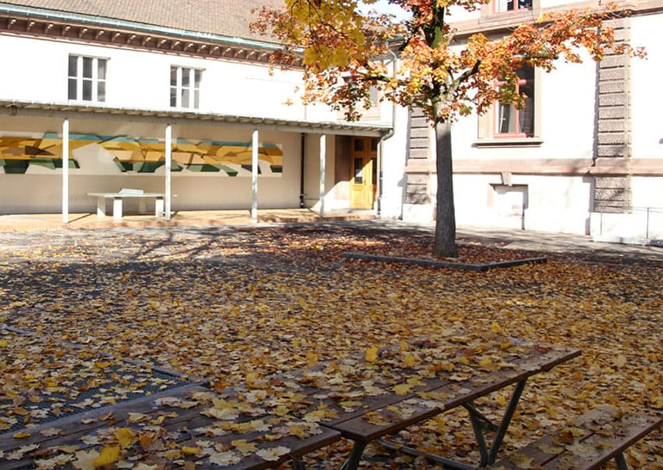bunte Blätter fallen, Schule St. Johann
