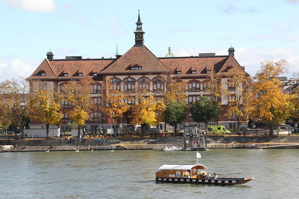 Schule Theobald Baerwart am Rhein in Basel